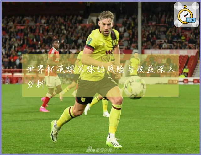 世界杯滚球买球的风险与收益深入分析