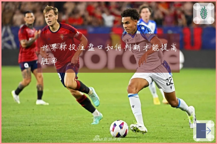 世界杯投注盘口如何判断才能提高胜率