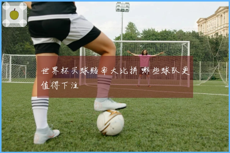 世界杯买球赔率大比拼 哪些球队更值得下注