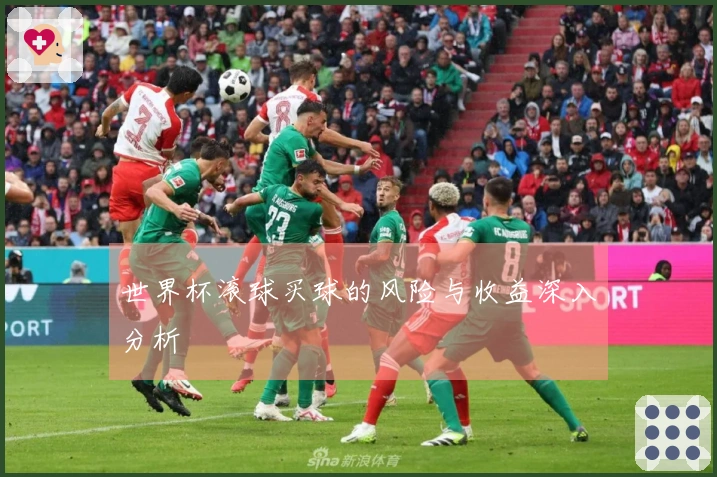 世界杯滚球买球的风险与收益深入分析
