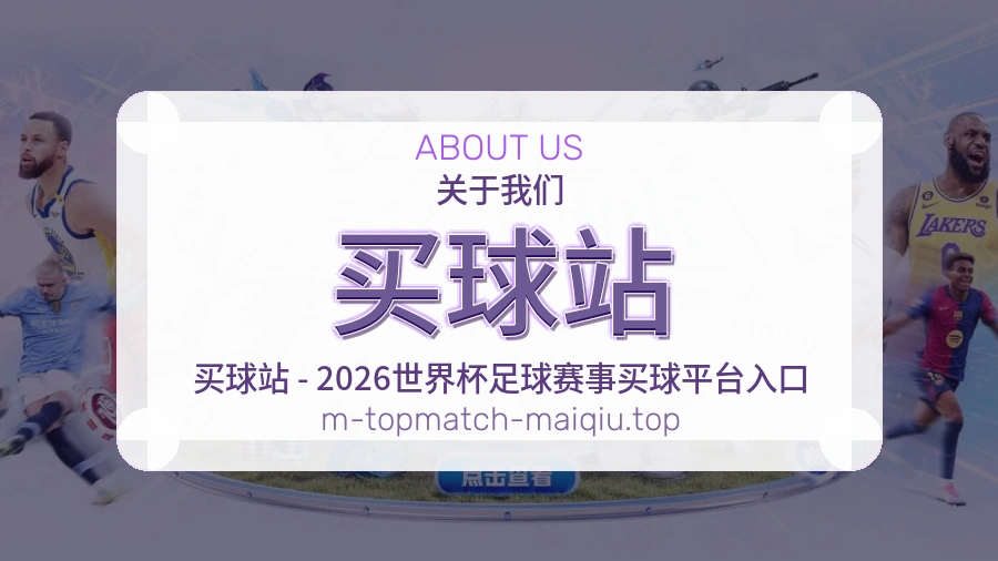 关于 买球站 团队与服务